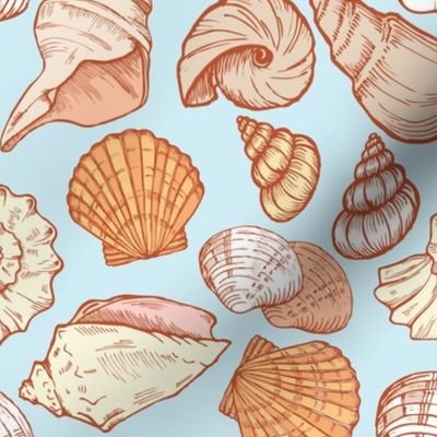 seashell color