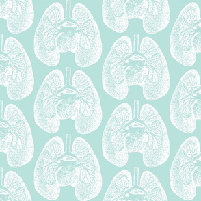 Anatomical Lungs White on Seafoam