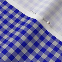 cobalt and silver gingham, 1/4" squares 