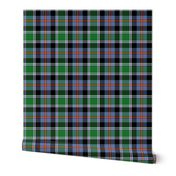 Colorado official tartan, 6" faded