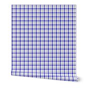 cobalt and silver double gingham, 1/4" squares 