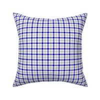 cobalt and silver double gingham, 1/4" squares 