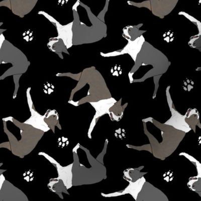 Trotting Boston Terriers and paw prints - black