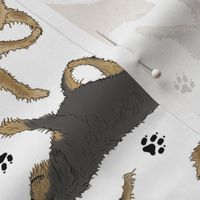 Trotting Otterhounds and paw prints - white