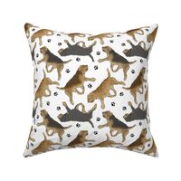 Trotting Otterhounds and paw prints - white