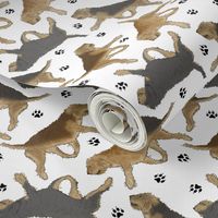 Trotting Otterhounds and paw prints - white