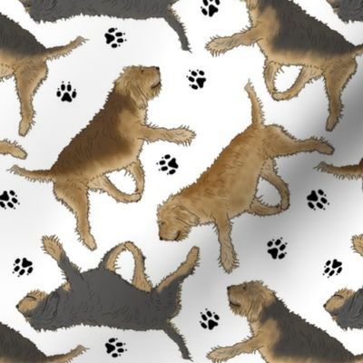 Trotting Otterhounds and paw prints - white