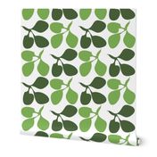 Clover_rainforest greens