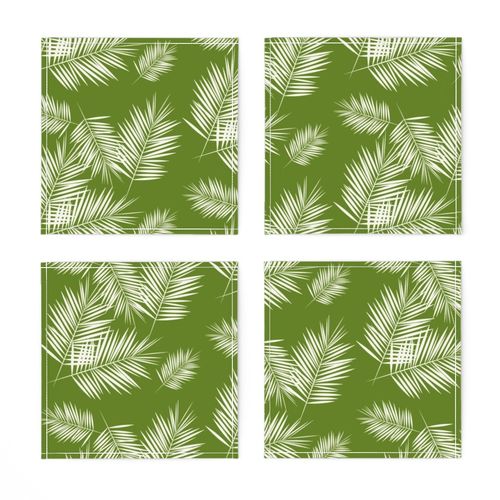 Palm leaves - white on grass green tropical Palm tree || by sunny afternoon