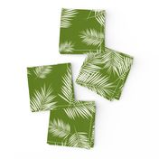 Palm leaves - white on grass green tropical Palm tree || by sunny afternoon