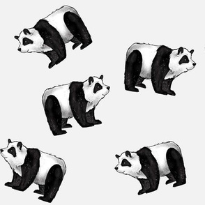 Pandas Everywhere!