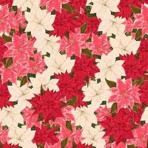 Poinsettias Overall