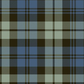 Campbell chief tartan - 10"