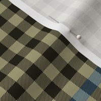 Clan Haig 1908 tartan check - 6" muted