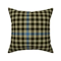 Clan Haig 1908 tartan check - 10" muted