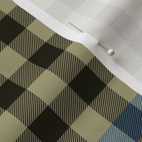 Clan Haig 1908 tartan check - 10" muted