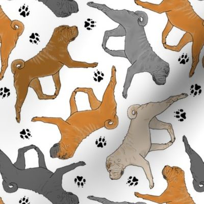 Trotting Chinese Shar pei and paw prints - white