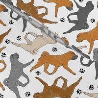 Trotting Chinese Shar pei and paw prints - white