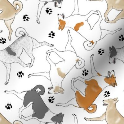 Trotting Canaan dogs and paw prints - white