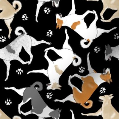 Trotting Canaan dogs and paw prints - black