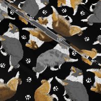 Trotting rough coated Collies and paw prints - black