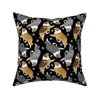 Trotting rough coated Collies and paw prints - black