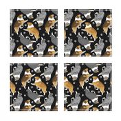 Trotting rough coated Collies and paw prints - black