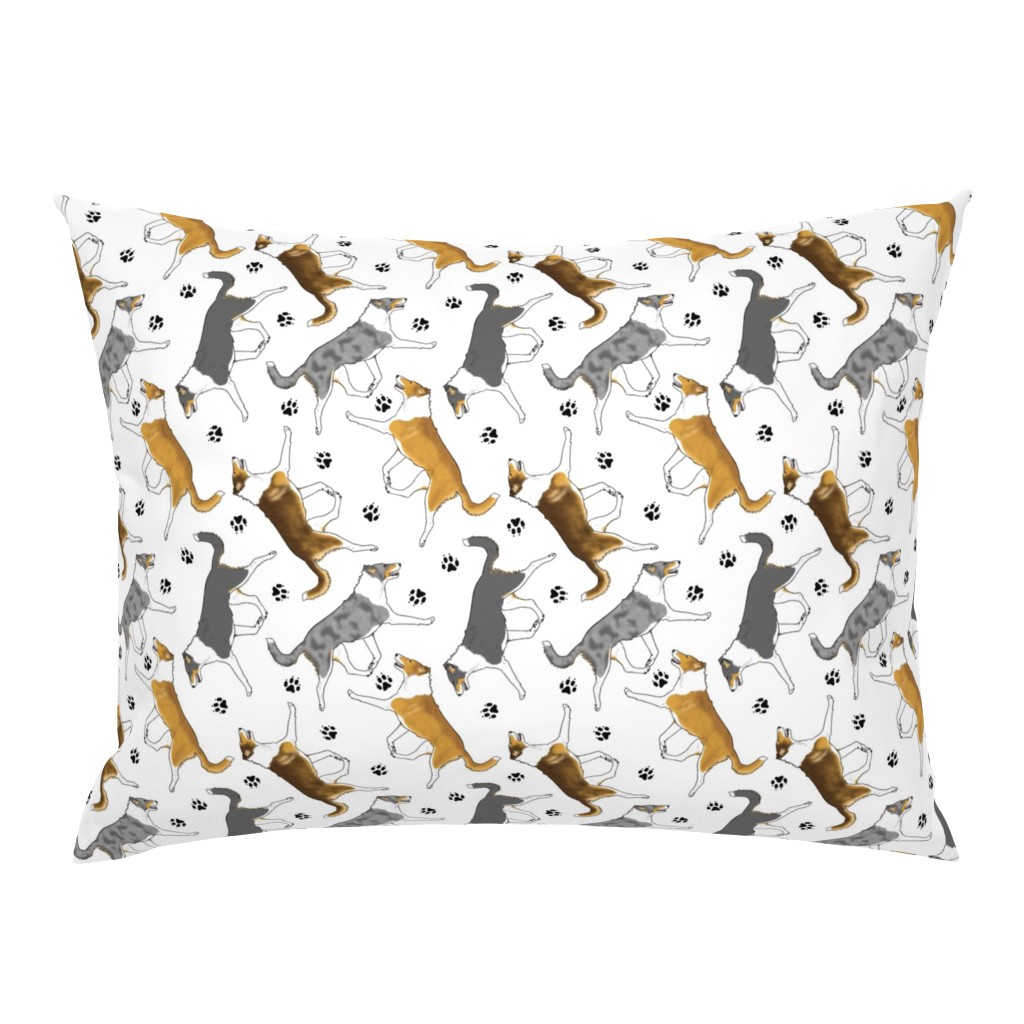 Trotting smooth coated Collies and paw prints - white