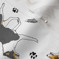 Trotting smooth coated Collies and paw prints - white