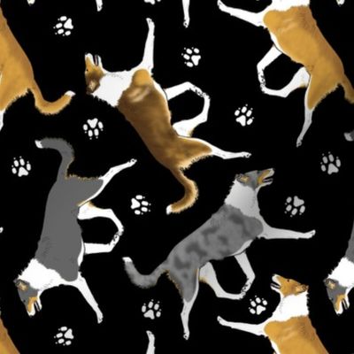 Trotting smooth coated Collies and paw prints - black