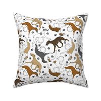 Trotting Whippets and paw prints - white