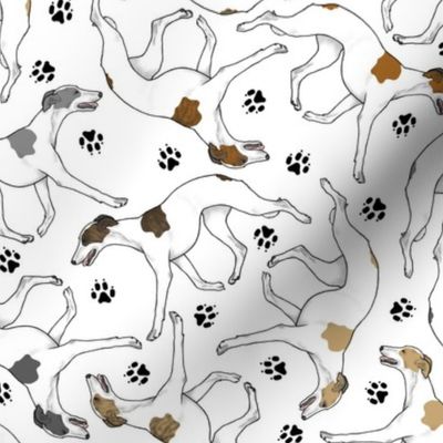 Trotting Whippets and paw prints E - white