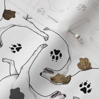 Trotting Whippets and paw prints E - white