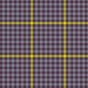 Midsummer tartan check