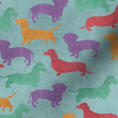 Dachshund Colorful Pattern 