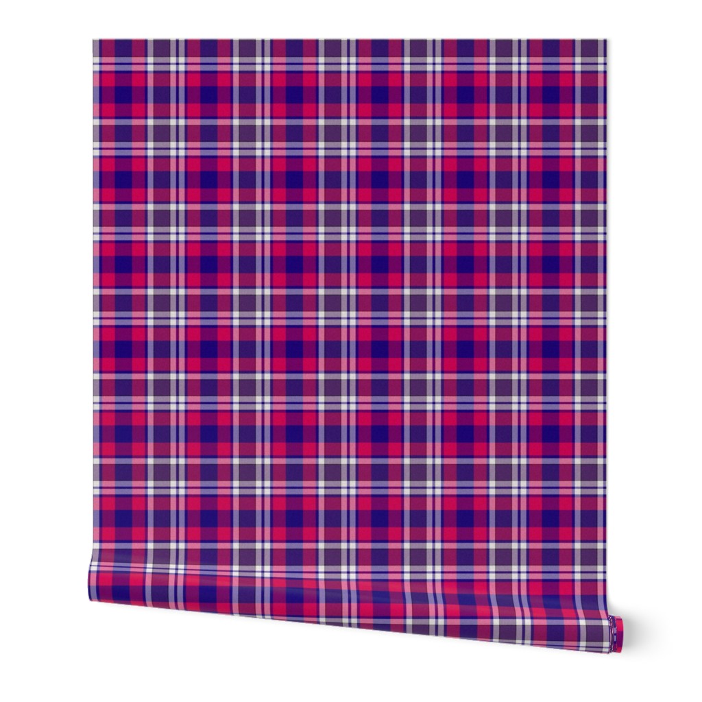 Bisexual Plaid 