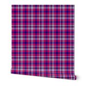 Bisexual Plaid 