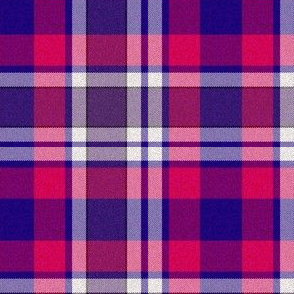 Bisexual Plaid 