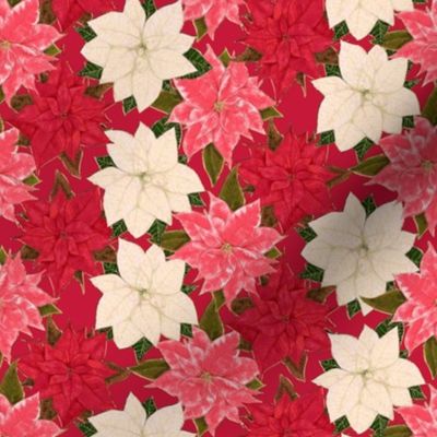 Red White and Pink Poinsettias with hint of fake gilt on red