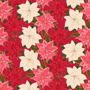 Red White and Pink Poinsettias with hint of fake gilt on red