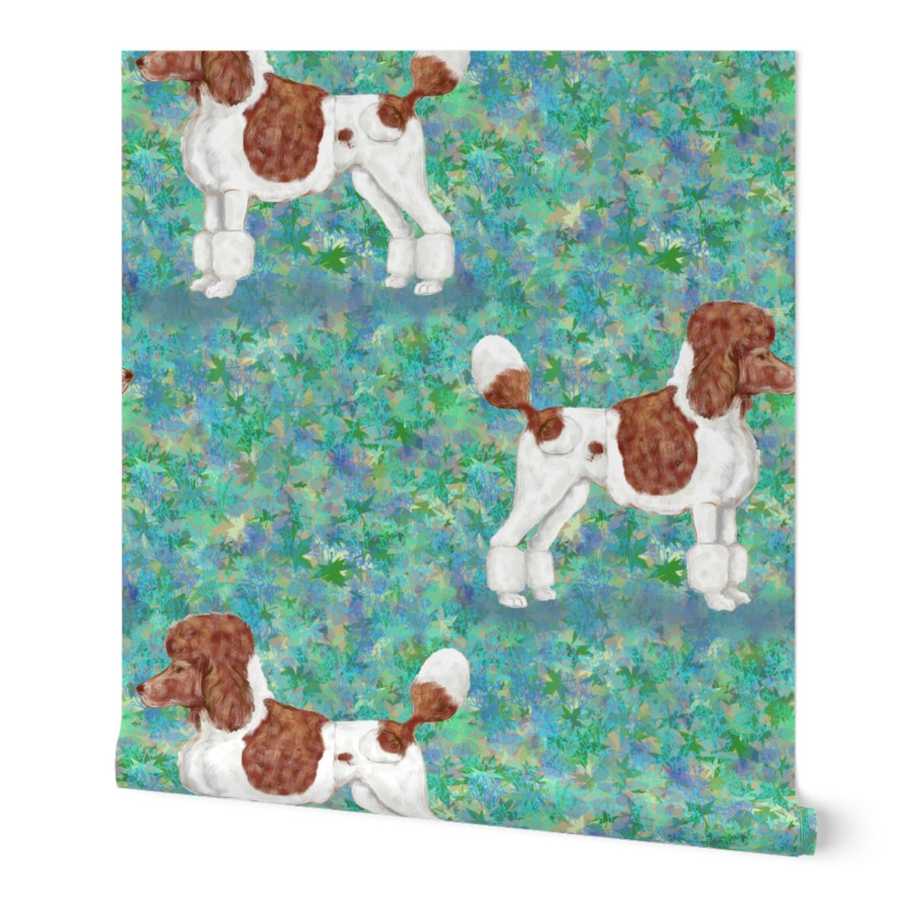 Brown Parti Poodle on Blue Green