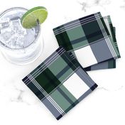 Navy & Green Plaid