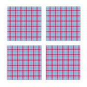 Transgender plaid