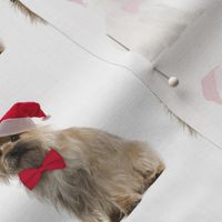 Santa Cairn Terrier