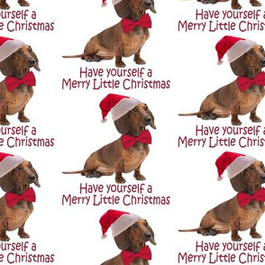 Santa Dachshund