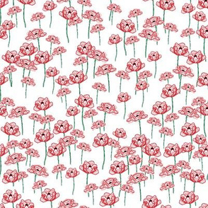 Poppies in pen on white