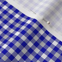 cobalt, silver and white gingham, 1/4" squares 