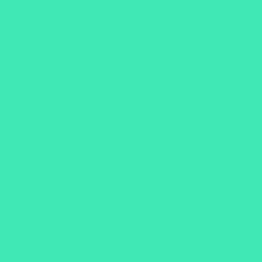 LCT - Seafoam Green Solid, coordinates with all Liquid Crystalline Teal designs