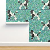 Black Parti Poodle on Blue Green