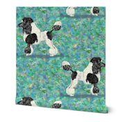 Black Parti Poodle on Blue Green